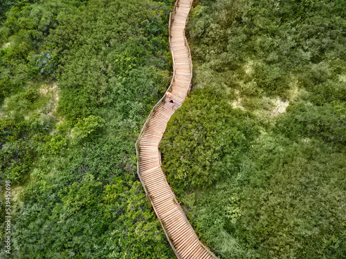 Aerial view couple walking on wooden boardwalk among green trees photo