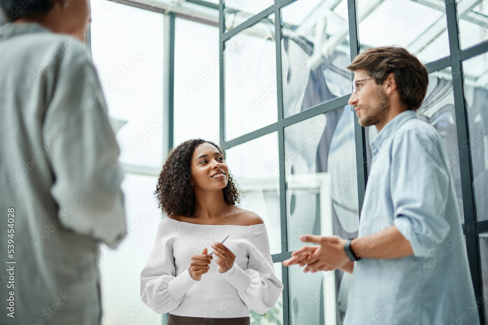 Fototapeta premium business team discussing work issues in the office.