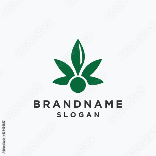 Cannabis logo template vector illustration design