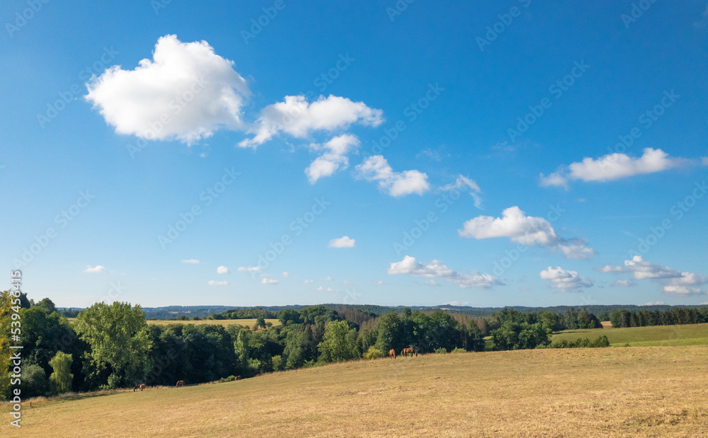 Idyllic landscape in the german countryside, pasture, forest and blue sky with white fluffy clouds