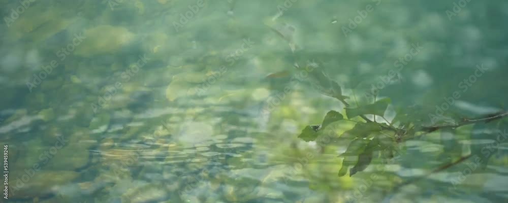 water and rain videos that soothes the heart and mind water and rain videos that soothes the heart and mind