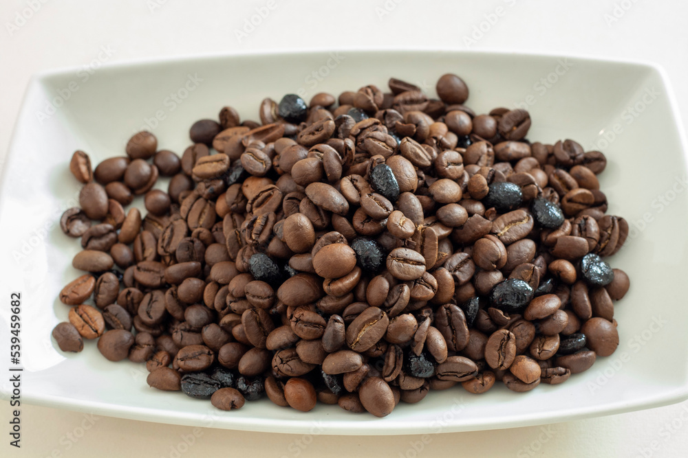 coffee beans in different settings on white background coffee beans in different settings on white background
