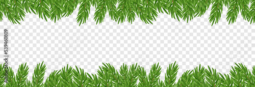 Vector fir branches. Spruce branches png, pine, spruce. Christmas decorations, Christmas background.