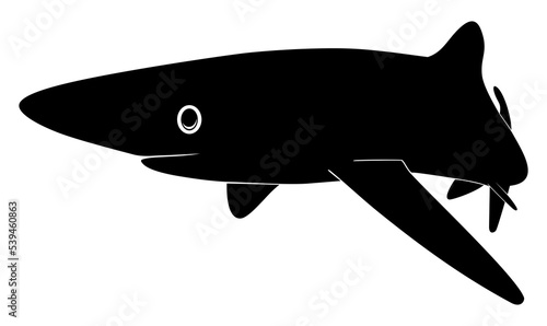 Shark Silhouette for Logo  Pictogram  Website  Art Illustration  Infographic  or Graphic Design Element. Format PNG