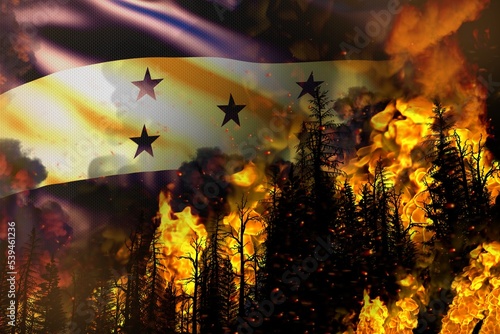 Big forest fire fight concept, natural disaster - burning fire in the trees on Honduras flag background - 3D illustration of nature photo