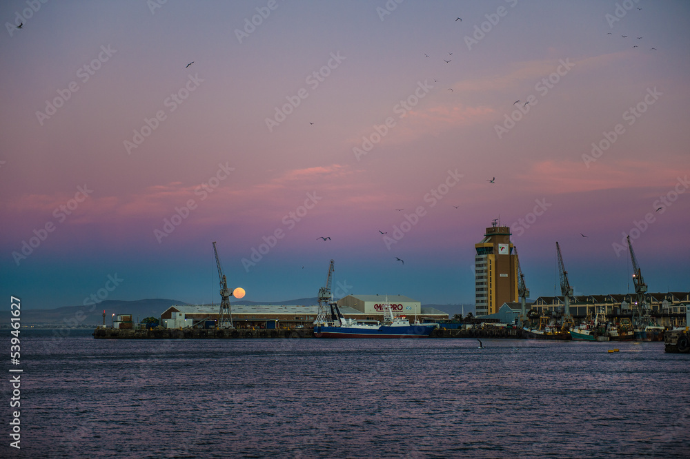 Cape Town port