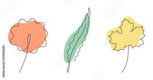 Autumn leaves set in one line art style with colorful abstract shapes. Maple, willow and aspen tree. Vector illustration of fallen leaves design isolated on white background.