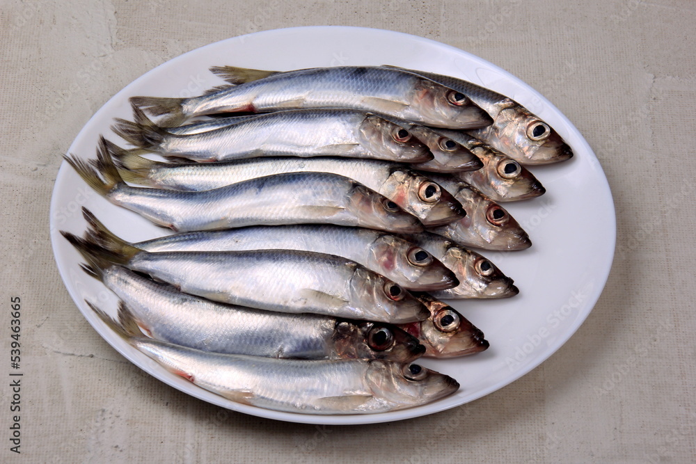 Several small silver fish, herrings with heads together on a white plate Several small silver fish, herrings with heads together on a white plate