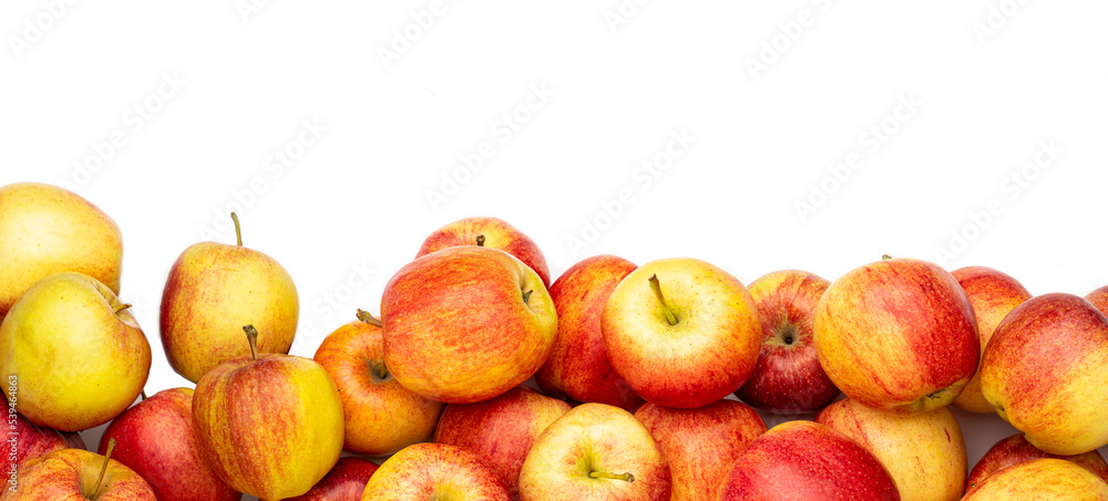 a heap of apples as banner, border, headline, header or panorama, isolated with white background a heap of apples as banner, border, headline, header or panorama, isolated with white background