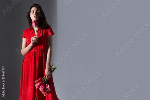 Attractive young woman in red dress holding a bouquet of red tulips and smells, grey background. Copy space.