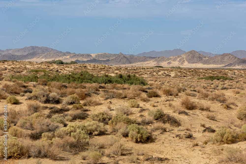 The desert in Southern California near the town of 29 palms, close to the Joshua Tree National park, USA