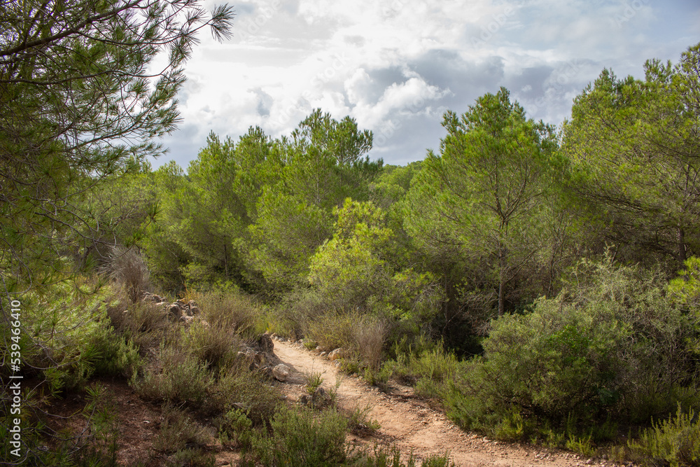 Vega Baja del Segura - Ruta de senderismo por La Caldera del Gigante y Hoyo Serrano en los términos municipales de Algorfa, Almoradí, Rojales y Benejuzar