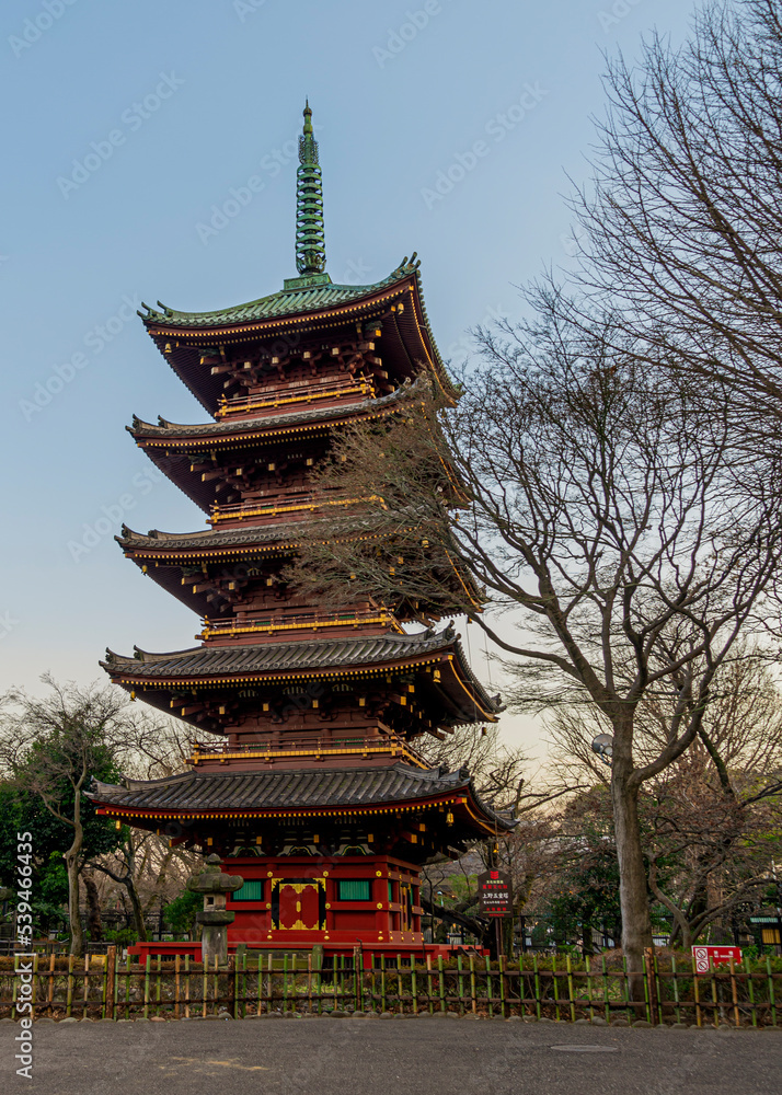 Tokyo Japan, city architecture, temples and cherry blossom. Tokyo Japan, city architecture, temples and cherry blossom.