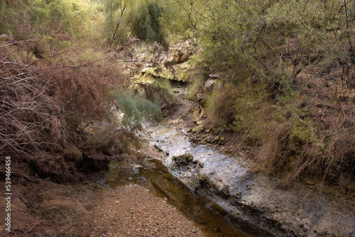 Vega Baja del Segura - Ruta de senderismo por La Caldera del Gigante y Hoyo Serrano en los términos municipales de Algorfa, Almoradí, Rojales y Benejuzar photo