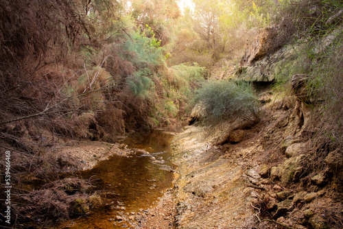 Vega Baja del Segura - Ruta de senderismo por La Caldera del Gigante y Hoyo Serrano en los términos municipales de Algorfa, Almoradí, Rojales y Benejuzar photo