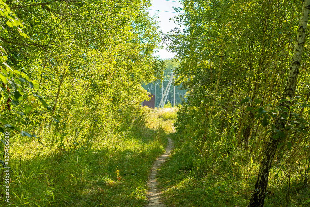 Road between trees to power lines. Road between trees to power lines.