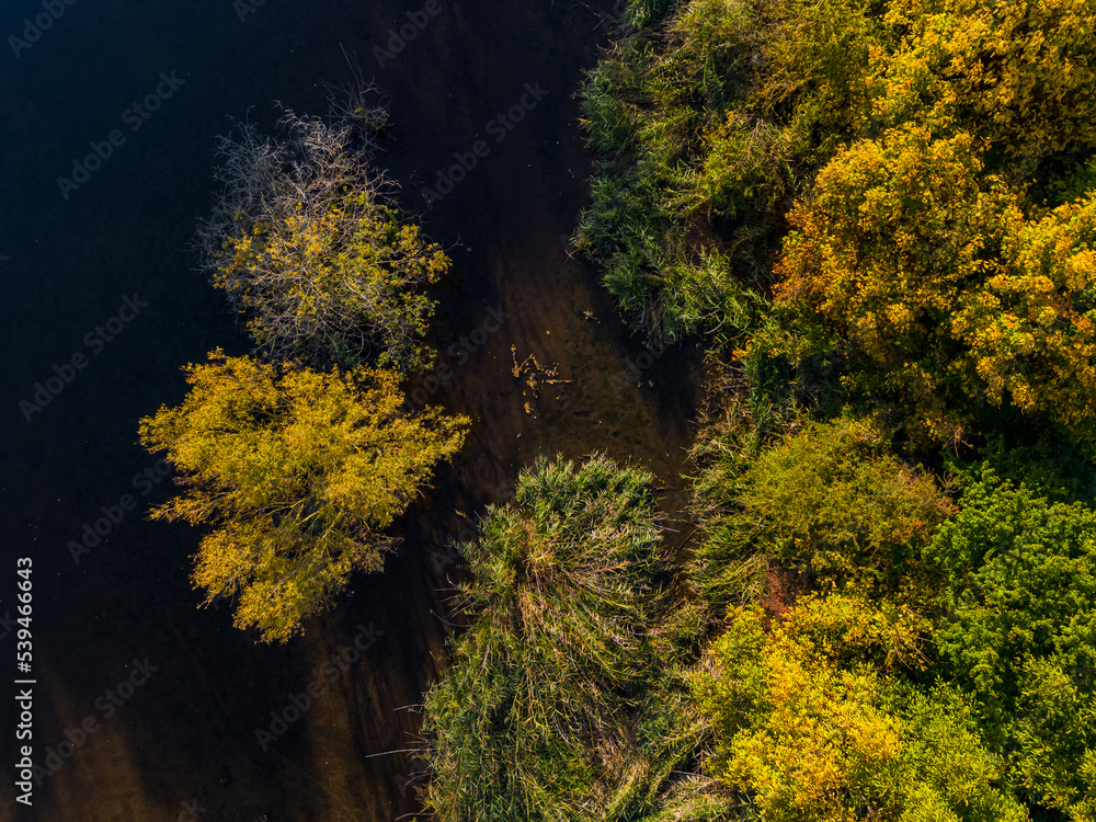 Aerial view of fall colors with trees, bushes of grass and water in a wetland Aerial view of fall colors with trees, bushes of grass and water in a wetland