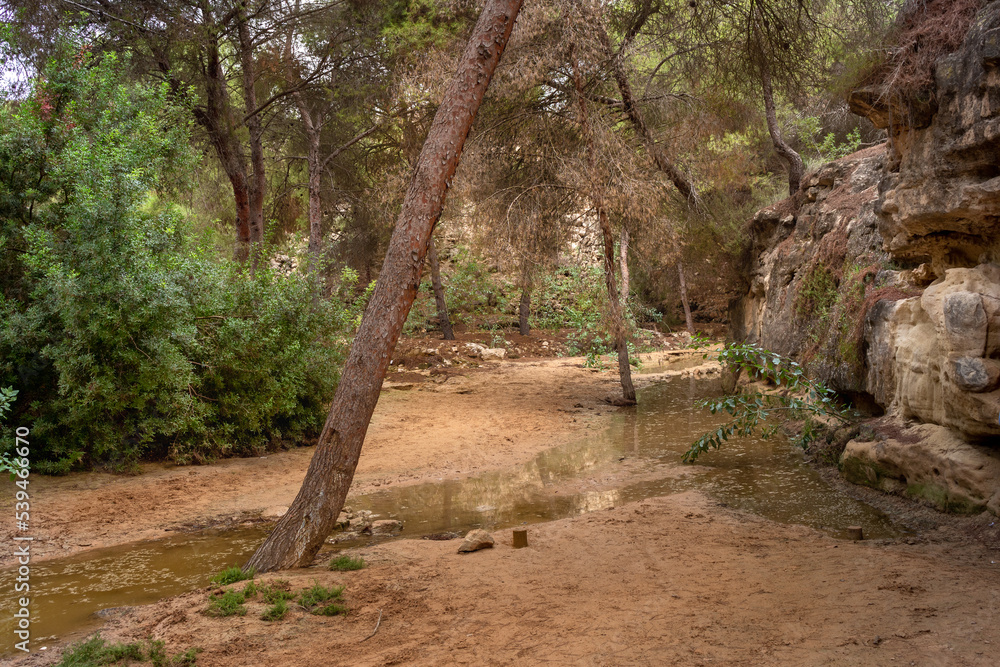 Vega Baja del Segura - Ruta de senderismo por La Caldera del Gigante y Hoyo Serrano en los términos municipales de Algorfa, Almoradí, Rojales y Benejuzar Vega Baja del Segura - Ruta de senderismo por La Caldera del Gigante y Hoyo Serrano en los términos municipales de Algorfa, Almoradí, Rojales y Benejuzar