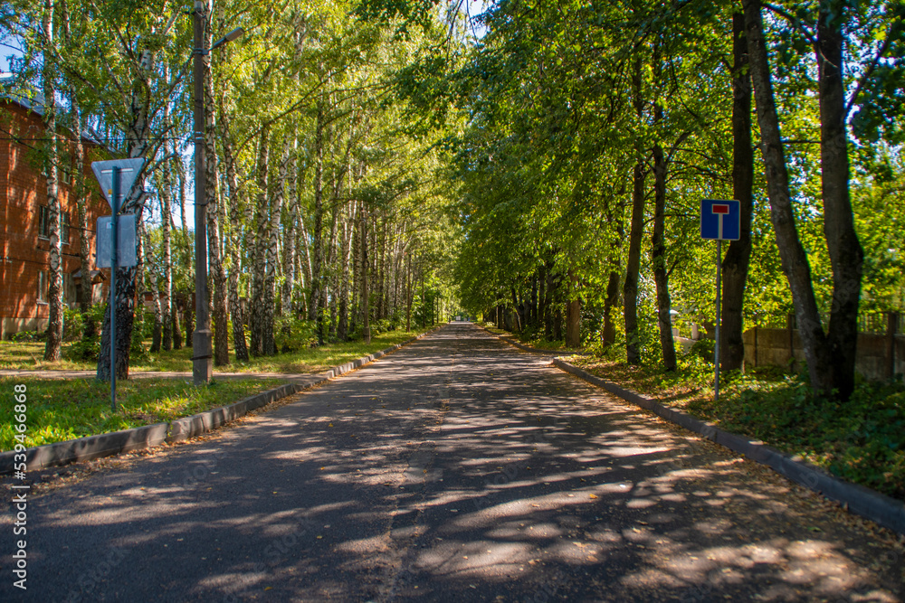 Asphalt road in a small town in Eastern Europe. Road in summer between trees. Asphalt road in a small town in Eastern Europe. Road in summer between trees.