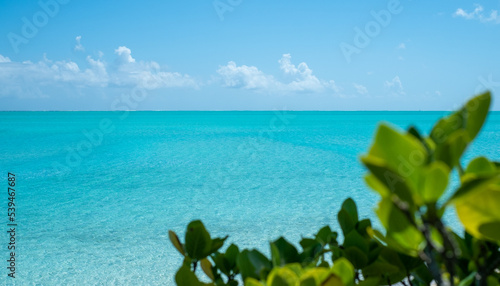 Fototapeta Naklejka Na Ścianę i Meble -  Panorama of French Polynesia with palm trees and blue sea