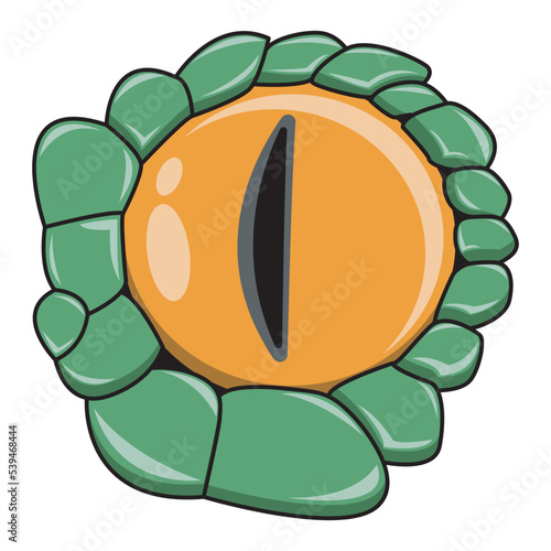 reptile eye vector. snake or crocodile eyes.