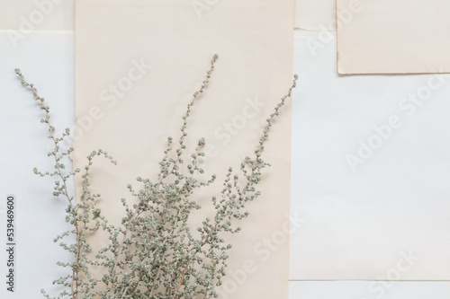 Close-up bush branch with fine buds on multi layer book pages. Flatlay of branch bush, Top view, minimalist flat lay, with copy space