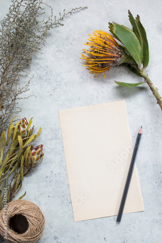 Fynbos flowers with bushes with paper and pencil for writing Flatlay of blank book page with fynbos and bush, Top view, minimalist flat lay with copyspace
