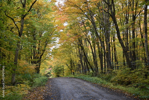 A country road in autumn, Sainte-Apolline, Québec, Canada