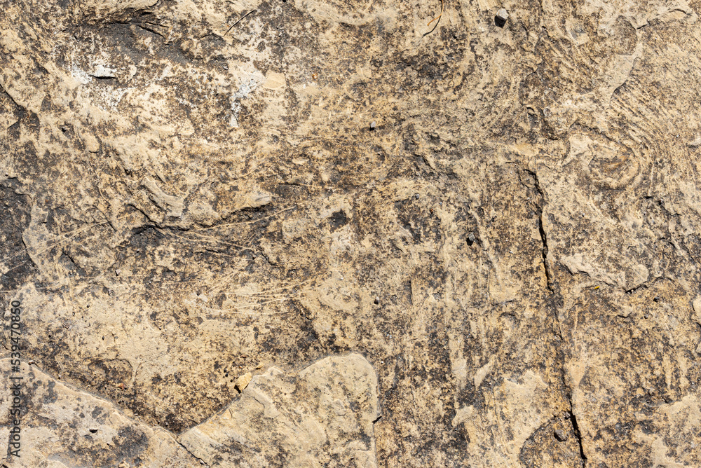 The stone wall - rock background or texture