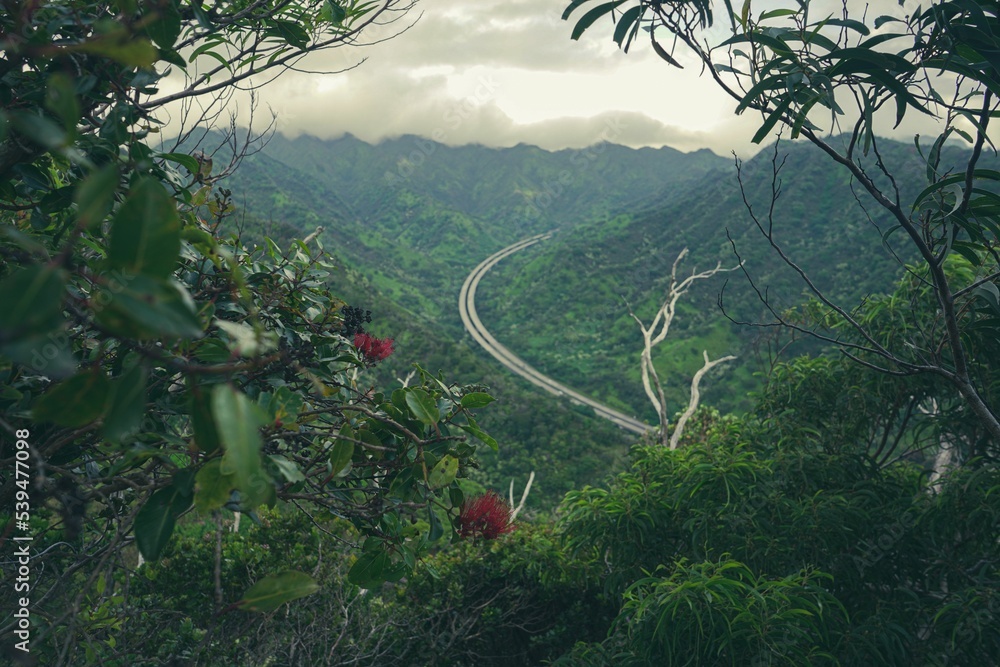 Fototapeta premium Scenic view of Aiea Loop Trail with Camilla, Oahu, Hawaii near H3 freeway