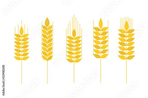 Collection of golden ripe spikelets of wheat. Agricultural symbol, flour production. Vector silhouette of wheat.