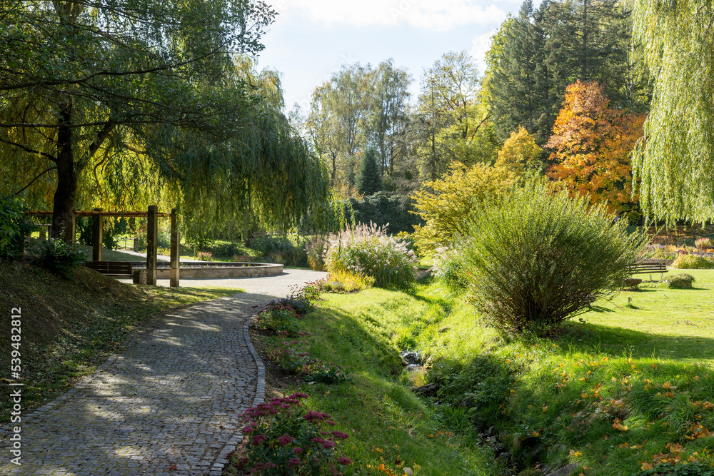 Obraz premium Beautiful autumn day in the park in the sunshine