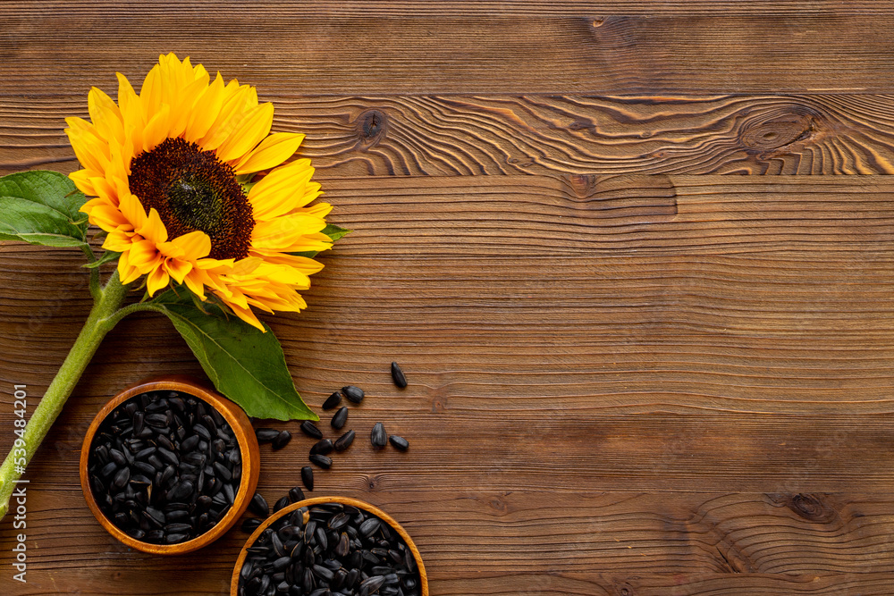 Blooming yellow sunflowers with sunflower seeds. Summer or autumn background