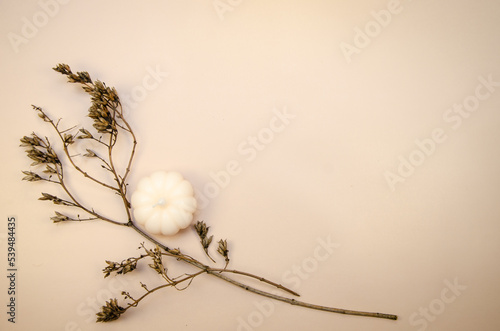 Tan begie horizontal background  with dry brown branches and white pumpkin candle. Autumn minimal flatlay blank pages  template muckup 