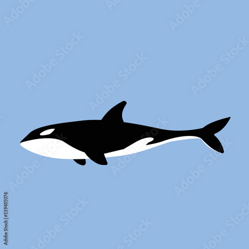 simple flat design of killer whale isolated on blue ocean background