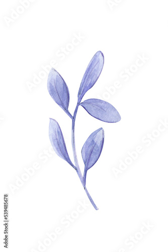 Twig with lilac leaves. Isolated on white background. Hand painted watercolor.