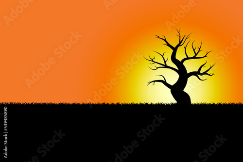 illustration of black silhouette dry leafless tree on sunset or sunrise vector