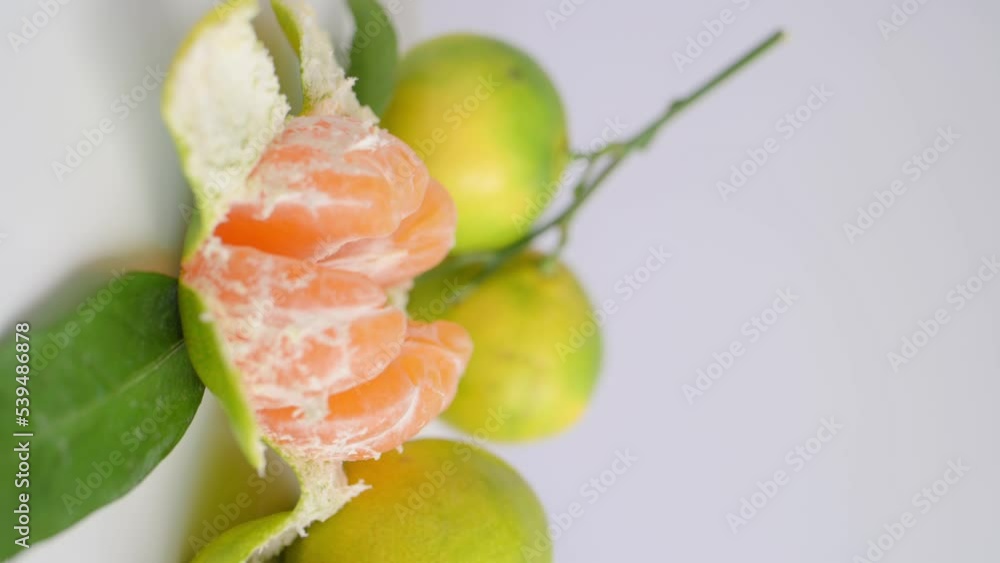 Green-yellow tangerines with leaves rotate on a white background close-up. Citrus tropical fruit, organic ripe juicy sweet mandarine, healthy food, vitamin C supply. 4K vertical footage Green-yellow tangerines with leaves rotate on a white background close-up. Citrus tropical fruit, organic ripe juicy sweet mandarine, healthy food, vitamin C supply. 4K vertical footage
