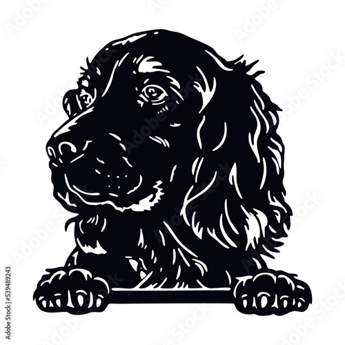 Irish Setter - Funny Dog, Vector File, Cut Stencil for Tshirt