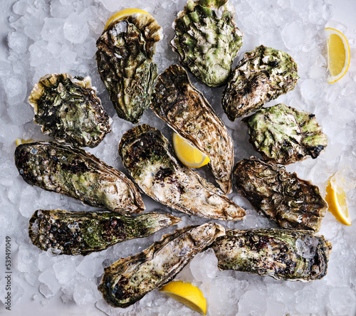 Fresh oysters of different species on crushed ice with lemon wedges