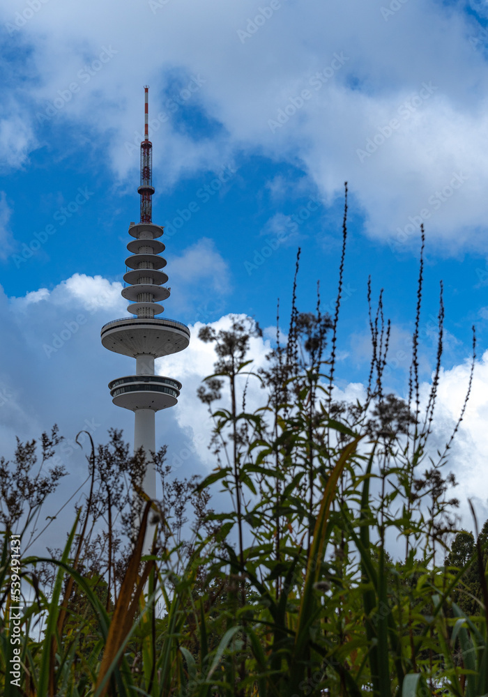 Blick durch Gräser auf den Fersehturm von Hamburg, am Tage bei blauem  Himmel mit einzelnen Wolken, vertikal 