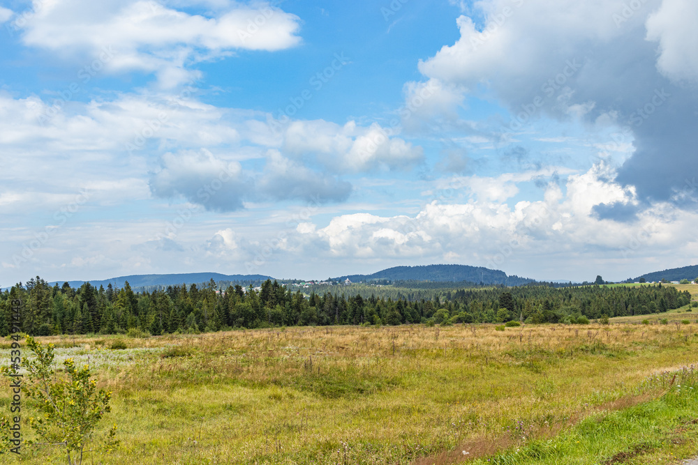 Mountain meadow in Carpathians. Countryside summertime landscape with valleys and grassy hills. Nature freshness concept