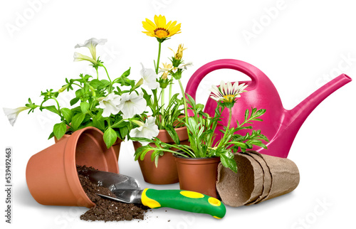 Leinwand Poster Gardening Equipment and flowers isolated on white
