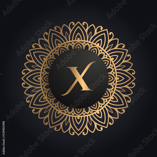Premium letter X logo icon design. Luxury jewelry frame gem edge logotype. Beauty, Fashion, Spa icon logo design