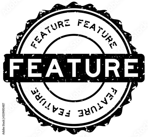 Grunge black feature word round rubber seal stamp on white background