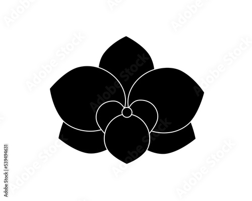 Flat flower icon - orchid. Vector image