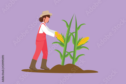 Character flat drawing young female farmer picking the corn on the tree. Professional farmer. Farming challenge. Natural vegetables harvest, agricultural activity. Cartoon design vector illustration