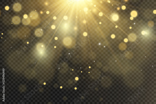	
Brilliant gold dust vector shine. Glittering shiny ornaments for background. Vector illustration.