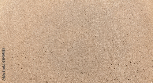 Wallpaper Mural Texture of yellow compressed sand on the beach Torontodigital.ca