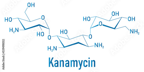 Kanamycin antibiotic drug molecule (aminoglycoside). Skeletal formula.